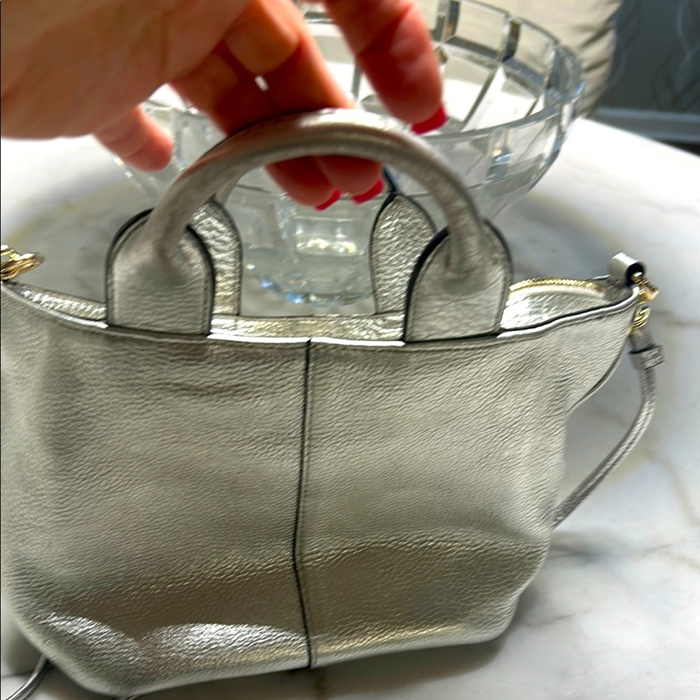 Banana Republic Metallic Mini Bag